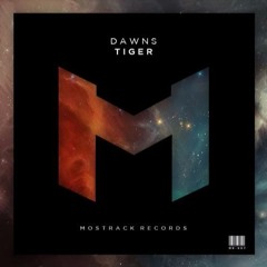 Dawns - Tiger