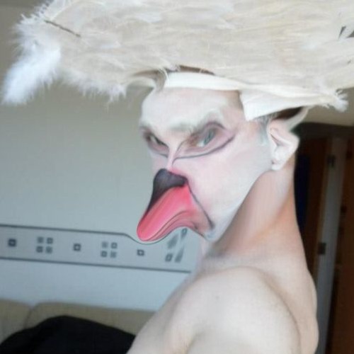 Swan'Z