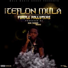 YNW$ Teflon Mula - Purple Polluters (Prod. By Rob Taylor)