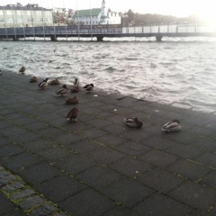 Home - Andy Schneider