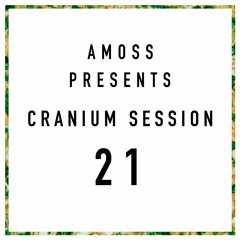 Cranium Session S.1 - 21