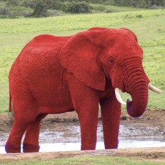 Red Elephant - DH (DropBass)