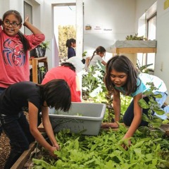 FoodCorps Arizona Radio Diaries: The STAR School