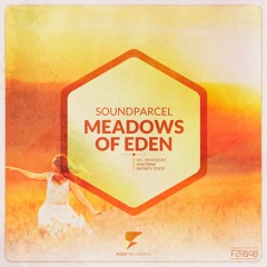 SoundParcel - Meadows Of Eden (Infinity State Remix) [Fuzzy Recordings]