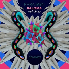 Para Todas Las Mamitas - Paloma Del Cerro (Le Freak Selector mix)