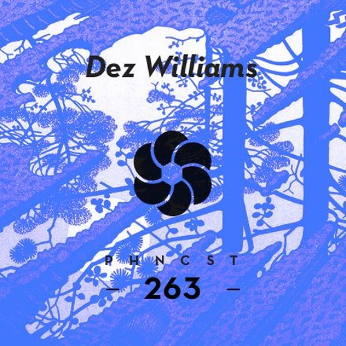 PHNCST263 - Dez Williams (Elektronik Religion)