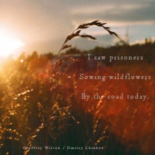 Prisoners Sowing Wildflowers (NaviarHaiku129)