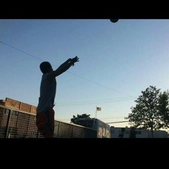 Phora-Palm Trees