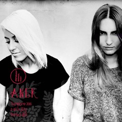Samphire Wizard Factory Mix #1 - Anek
