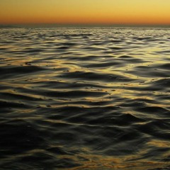The Aquatic Reserve