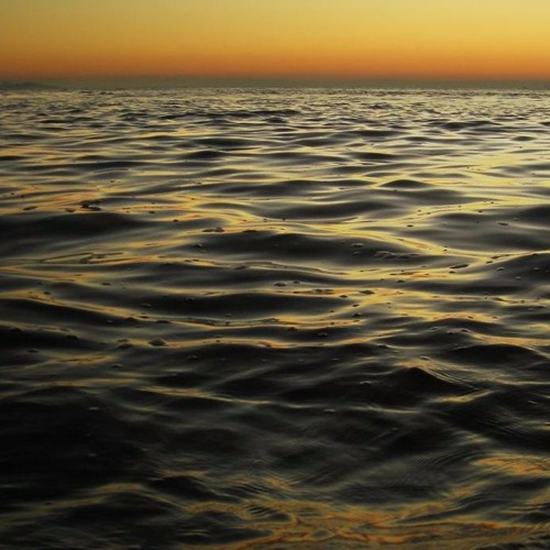 The Aquatic Reserve