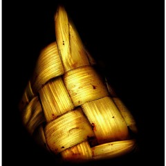 Aman Shah - Kepulangan Yang Di Nanti