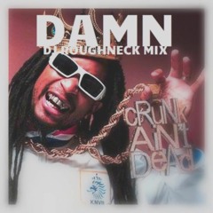 Damn (DJ Roughneck Unofficial Mix)[unmastered]