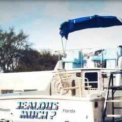 mark and tom - jealous much? (timezone lafontaine remix)