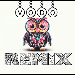 Sia - Bird Set Free (Vodo Remix)