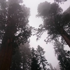 [the trip pt 2]