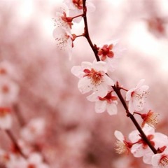 Monster Hunter X - Mizutsune battle theme