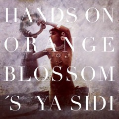 NICONÉ HANDS ON ORANGE BLOSSOM