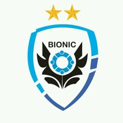 Bionic foari 2016.mp3