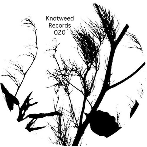 Knotweed Records 020 - A2 - Philippe Petit - Exposed