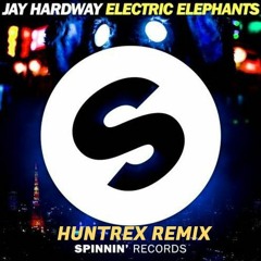 Electric Elephants (HuntreX Remix)