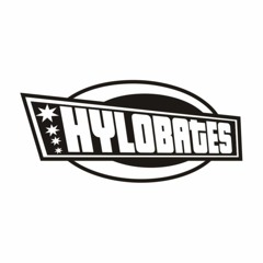 Hylobates Ft Afza - Bersamamu