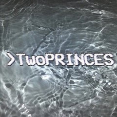 TWO PRINCES - Spin Doctors (Cover)