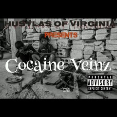 Hov 3 Celebration(snippet)