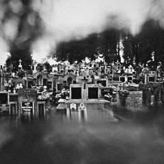 Song For An Undead Gentleman Full Of Regret