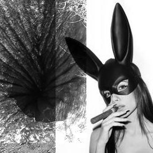 Rabbit Hole Generator