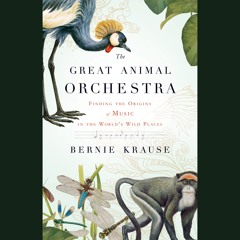 Night Reverberations - excerpt from THE GREAT ANIMAL ORCHESTRA, Written and Read by Bernie Krause