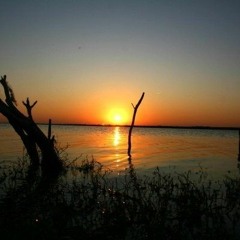 Plasmoon (Psychodetra Atmosphere Remix)