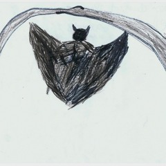 Chauve-souris, Xermaménil, classe de CE1