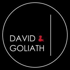 Summerset David & Goliath
