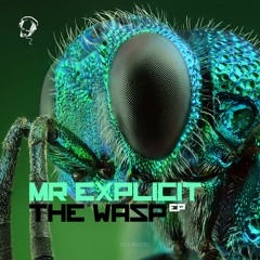Mr Explicit -  The Wasp - DCUK035