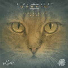 [Suara 230] Rich Wakley - That's The Joint (Superlover Remix) Snippet