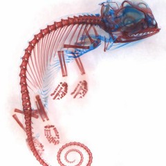 Manse Feat. Alice Berg - Freeze Time (Felicity Remix)