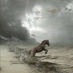 You're not alone . Michele Jakson