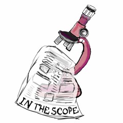 In The Scope - Episode 3 - Political Parties