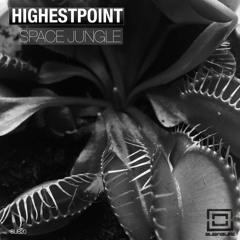 Highestpoint - Space Jungle (Original Mix) [Subfigure]