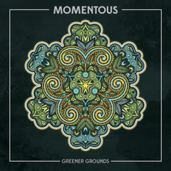 Greener Grounds - Komodo [PREMIERE]