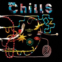 The Chills - Oncoming Day (Early Version)