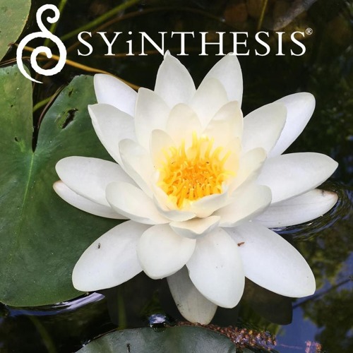 Lotus Heart Guided Meditation By Syinthesis