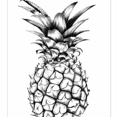 Say Yeah - Topher Mohr And Alex Elena -