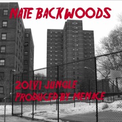 Nate Backwoods - 2016 Jungle(Prod. By Menace)