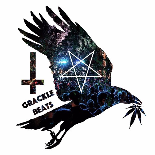 Grackle Beats: Minnesota / 6.25.16 / Shady Park (1hr)