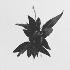 radiohead - creep (re-work)