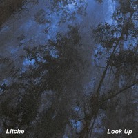 Litche - Look Up