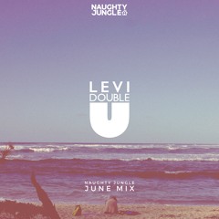 Naughty Jungle June Mix by Levi Double U