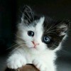 01 - Piya O Re Piya-(MyMp3Singer.net).mp3